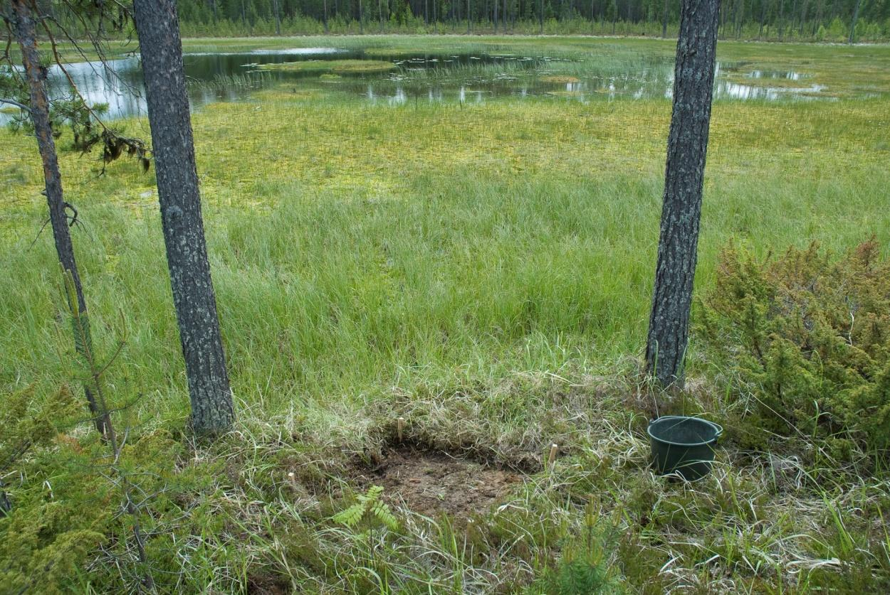 Projektledaren i färd med att dokumentera Schakt C. Foto mot N: Britta Lindgren-Hyvönen.