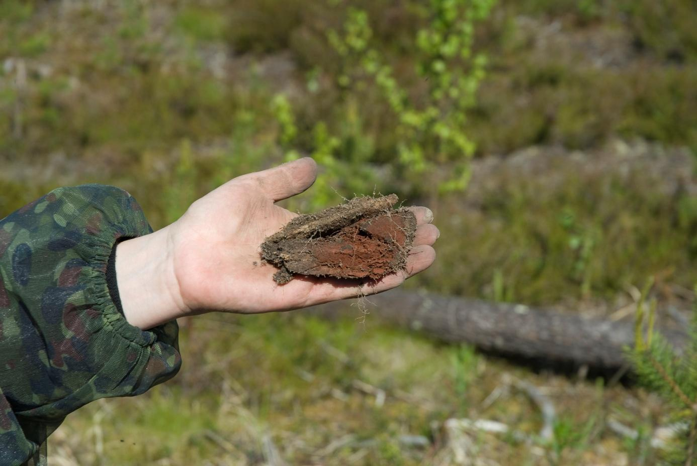 Schakt E på ca 40 cm djup. Foto: Thomas B Larsson.