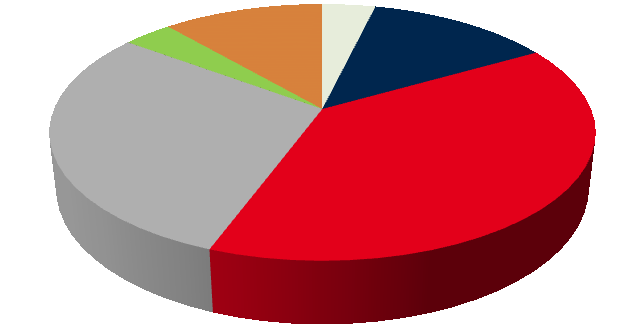 20 29% 3% Budget per verksamhetsområde 11% 4% 13% Administration Verksamhetsövergripande Vård- och omsorgsboende Hemtjänst Träffpunkter o dagverksamhet 39% Hälso- och sjukvård Administration På