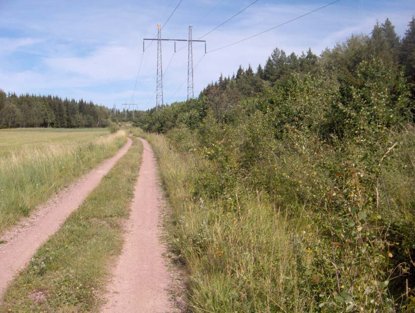 Lokal 6b Vittulsberg. Ängen vid Vittulsberg hyser även en torrmarkskulle. Här växer bland annat mycket backnejlika och en del rödklint. År 1991 växte det ängsskära även i den södra skogskanten.