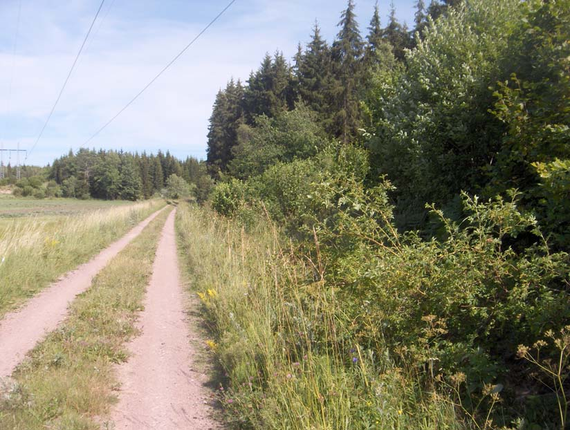 Lokal 6 c. Vittulsberg, Samma vägkant längre mot nordost.
