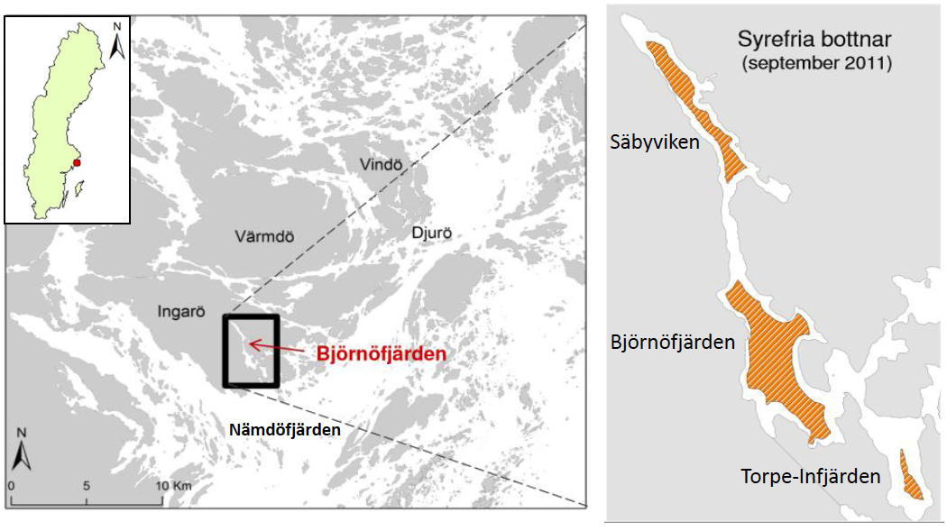 toexportör av fosfor, men här beror en stor del av fosforbidraget på landhöjning och erosion. Rydin et al.
