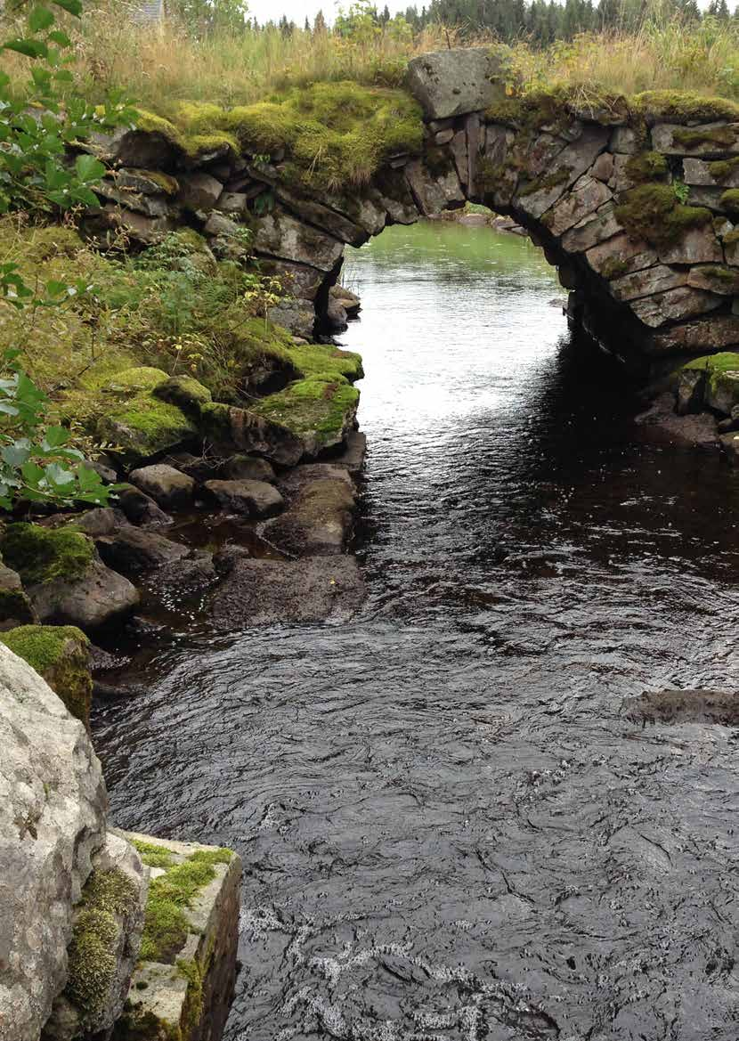Kräftskötselområdet Lersjöarna Lersjön-Flatsjöns fvof Lokal förvaltnings- och utvecklingsplan för flodkräftbestånden inom Lersjön-Flatsjön Fiskevårdsområdesförening 2016-2021 Tomas Jansson,