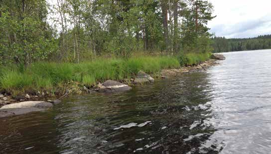 Mellan Lersjön med strandnära goda miljöer för kräftor. Sjöarna är artfattig, förekommande kända fiskarter är abborre, gädda, gers, lake, ruda och brax.