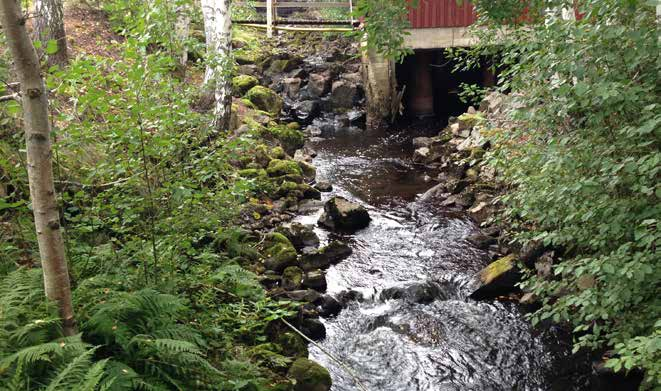 Inledning Inom Lersjöarna Flatsjöns fiskvårdsområdesförening har det funnits flodkräftor under lång tid. Enligt C.