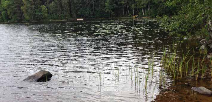 Flodkräftans historiska utveckling inom Lersjön-Flatsjöns fvo Enligt uppgifter ur boken Wermlands Fiskevatten kräftor medan på sträckor med mycket sand och finkornig botten, fick man inte kräftor