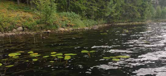 Lersjöarna Norra-, Mellersta- och Södra Lersjön är i stort sett samma sjö men avskärmas av mindre sund. Södra och Mellersta Lersjöarna liknar varandra.
