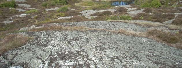 1 Orientering, Miljö och Stadsbyggnadskontoret, upprättar för bostäder, gator, gc-väg mm inom ett nytt område vid Torvemyr i Skaftö- Backa, Grundsund. Detta PM avser etapp 2.
