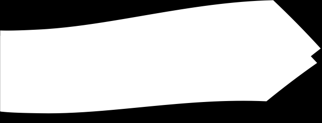 Aktion