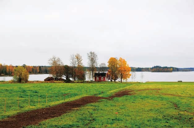 Print: Välikangas.