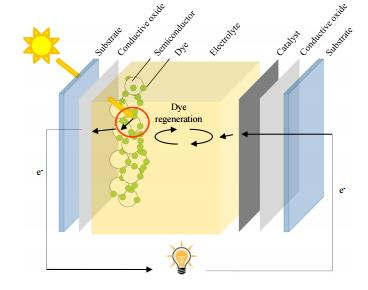 halvledaren regenereras, vilket innebär att det återfår elektroner, av redoxelektrolysen och processen kan återupptas.