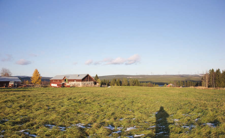 Ändring av tillstånd för vindkraft vid Vargträsk i Lycksele och Åsele kommuner, Västerbottens län