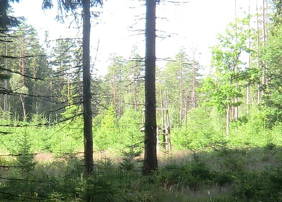 Inägomark Gårdscentrum för torpet består av bod, jordkällare och ladugård (lekstugan på trädgården kan komma att forslars bort). Skog Uppgår enligt planen till 9,8 ha.
