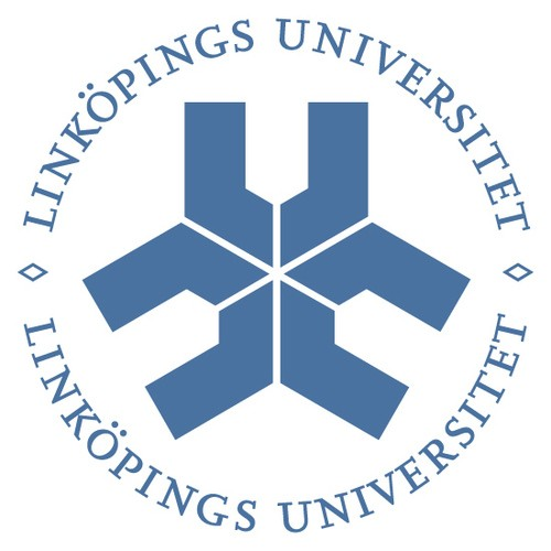 Utvärdering av automatiska omskrivningar Från både en objektiv och en subjektiv synvinkel Linköpings universitet