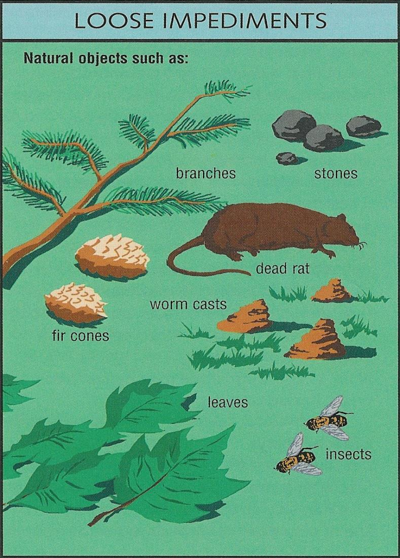 Lösa Naturföremål Lösa naturföremål är naturföremål, till exempel: Stenar, löv, kvistar, grenar o liknande Djurspillning Maskar och insekter och högar gjorda av dem, under förutsättning att de inte