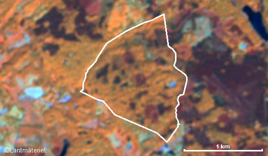 7/21 Satellitbilder Satellitbilder har låg upplösning, men tas varje år och kan därför visa förändringar, till exempel nya avverkningar och vindfällda områden.