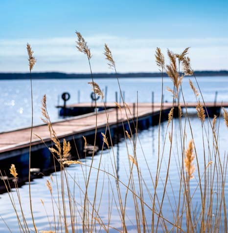 ya hem nära natur och kommunikationer