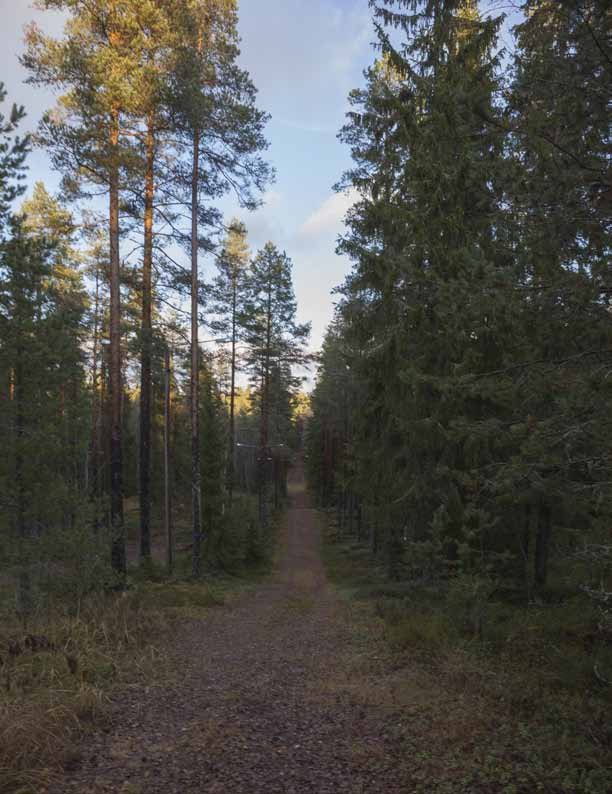 Trettondagen 2014 är det dags. En av de stora frågorna för kommittén är om det ska lagras snö eller inte. Hur det än blir, lovar kommittén att ordna den bästa Landskspasstafetten någonsin.