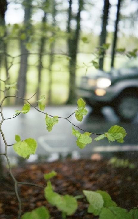 Persontransporter utvecklingsnivå hög Steg 4 Prio 1 Ökad kapacitet Gävle Sundsvall, (förslag deluppdrag) Hallsberg Laxå, Laxå Arvika, (förslag deluppdrag) Ostlänken Norrköping Linköping Dubbelspår