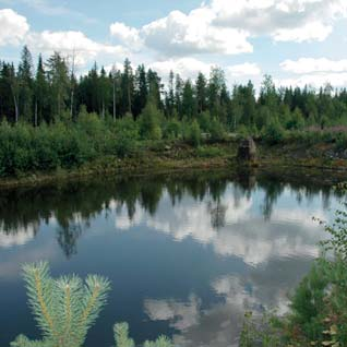 FÖRVALTNINGSBERÄTTELSE Sverige). Bolaget följer därmed de gemensamma rekommendationer som gäller som publiceringsstandarder för företag engagerade i prospektering, utveckling och mineralutvinning.