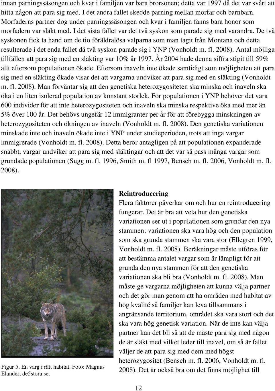 De två syskonen fick ta hand om de tio föräldralösa valparna som man tagit från Montana och detta resulterade i det enda fallet då två syskon parade sig i YNP (Vonholdt m. fl. 2008).