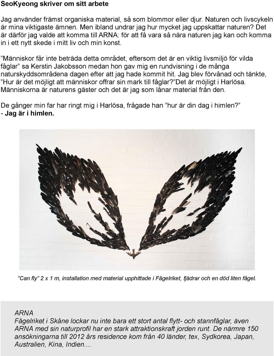 Människor får inte beträda detta området, eftersom det är en viktig livsmiljö för vilda fåglar sa Kerstin Jakobsson medan hon gav mig en rundvisning i de många naturskyddsområdena dagen efter att jag