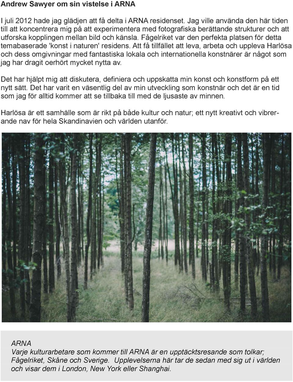 Fågelriket var den perfekta platsen för detta temabaserade 'konst i naturen' residens.