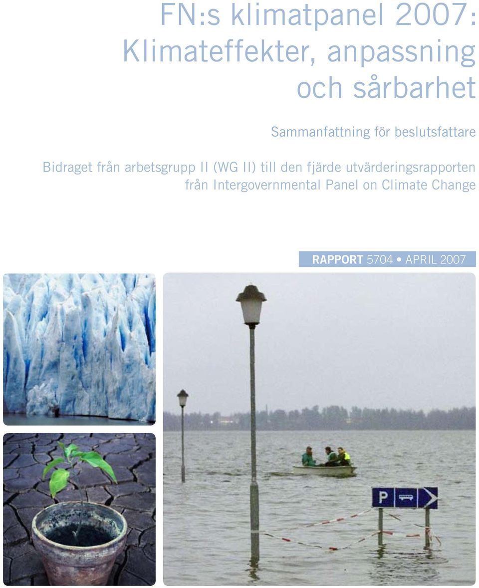 arbetsgrupp II (WG II) till den fjärde utvärderingsrapporten