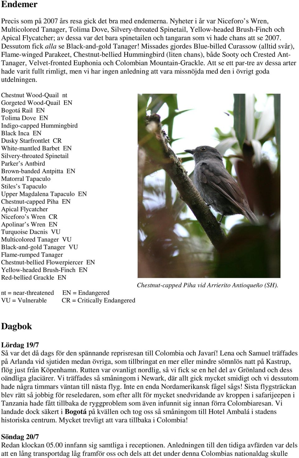 hade chans att se 2007. Dessutom fick alla se Black-and-gold Tanager!