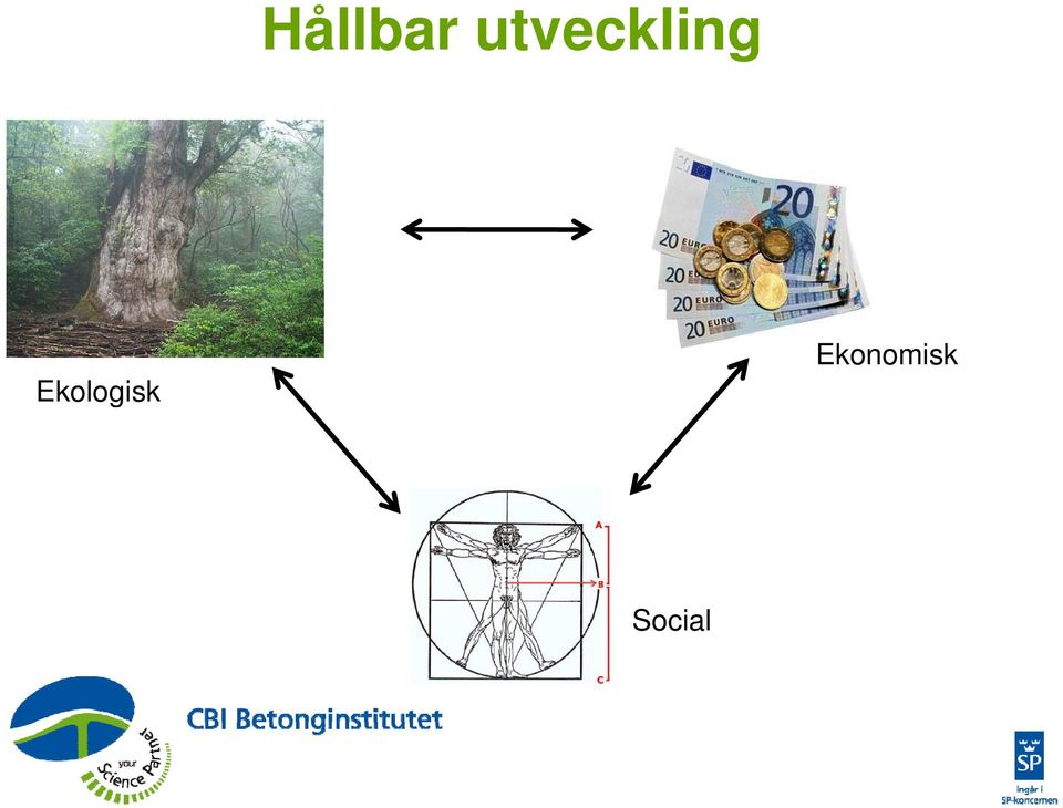 Ekologisk