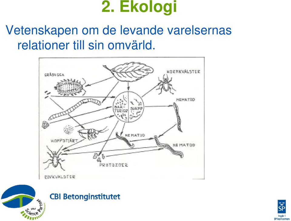 levande varelsernas