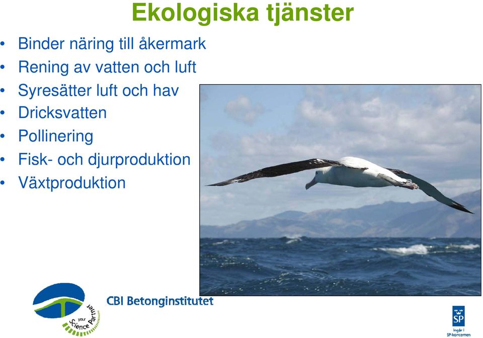 Dricksvatten Pollinering Fisk- och