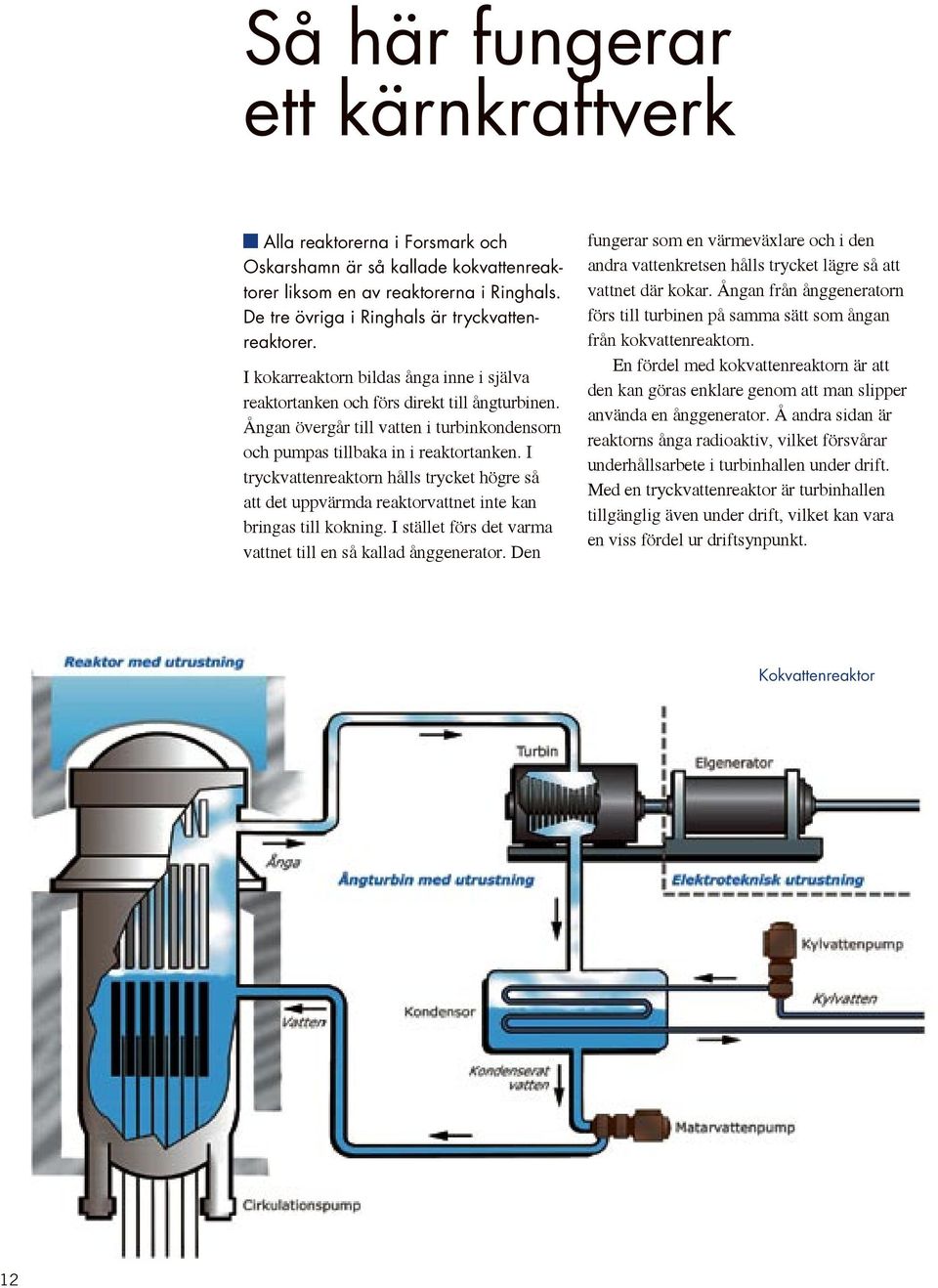 I tryckvattenreaktorn hålls trycket högre så att det uppvärmda reaktorvattnet inte kan bringas till kokning. I stället förs det varma vattnet till en så kallad ånggenerator.