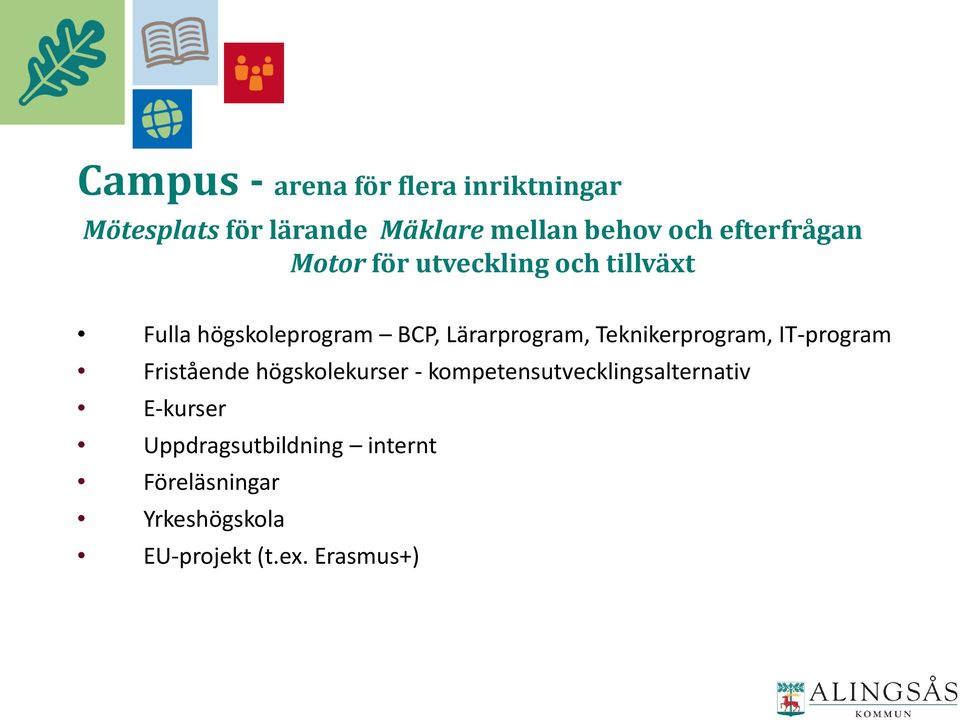 Teknikerprogram, IT-program Fristående högskolekurser - kompetensutvecklingsalternativ