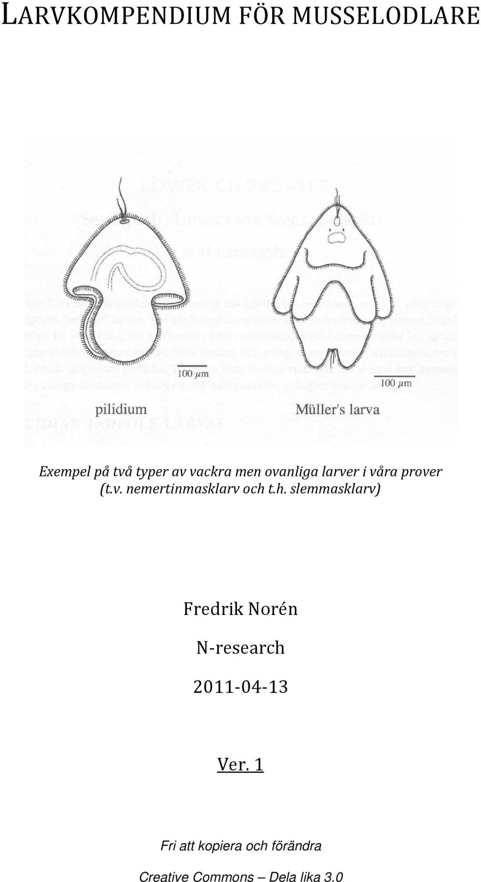 h. slemmasklarv) Fredrik Norén N-research 2011-04-13 Ver.