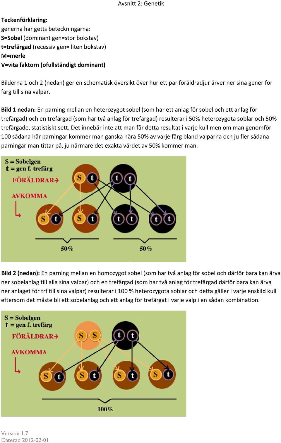 Bild 1 nedan: En parning mellan en heterozygot sobel (som har ett anlag för sobel och ett anlag för trefärgad) och en trefärgad (som har två anlag för trefärgad) resulterar i 50% heterozygota soblar