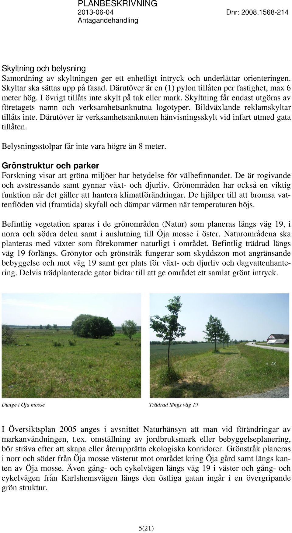 Bildväxlande reklamskyltar tillåts inte. Därutöver är verksamhetsanknuten hänvisningsskylt vid infart utmed gata tillåten. Belysningsstolpar får inte vara högre än 8 meter.