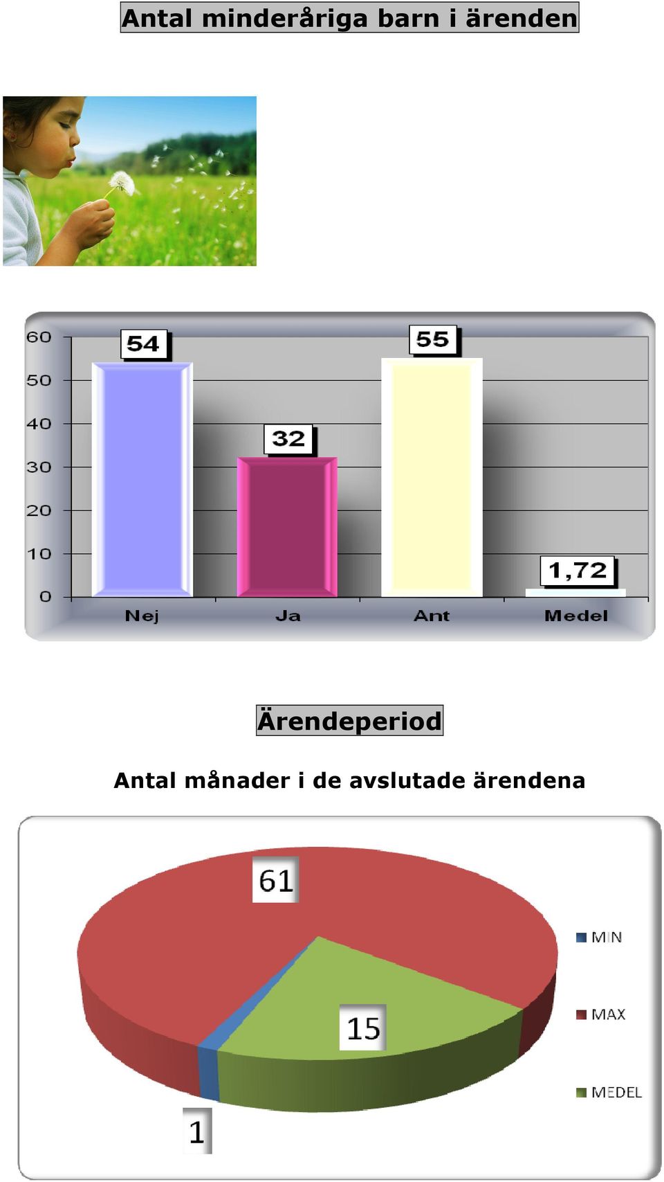 Ärendeperiod Antal