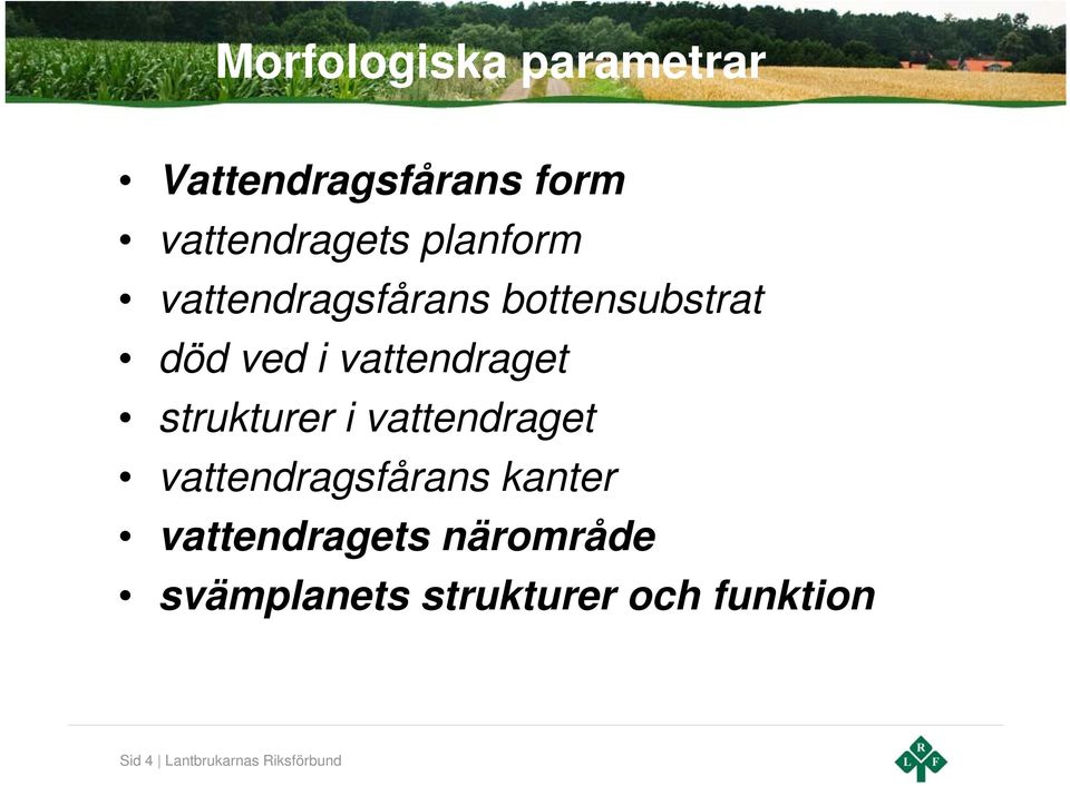 strukturer i vattendraget vattendragsfårans kanter vattendragets