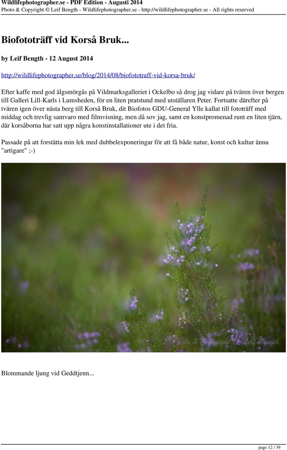 liten pratstund med utställaren Peter.