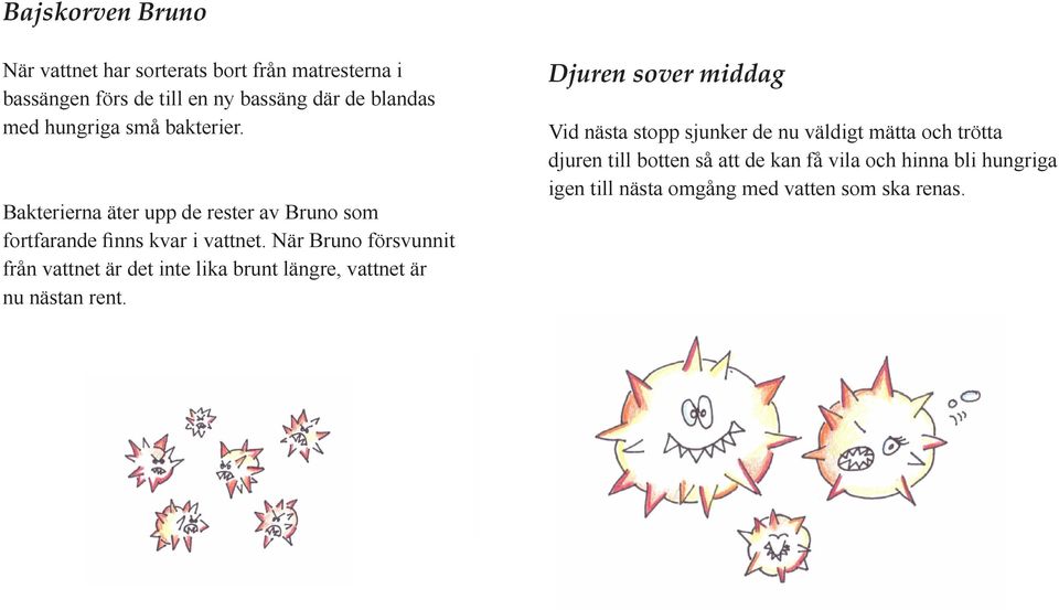 När Bruno försvunnit från vattnet är det inte lika brunt längre, vattnet är nu nästan rent.