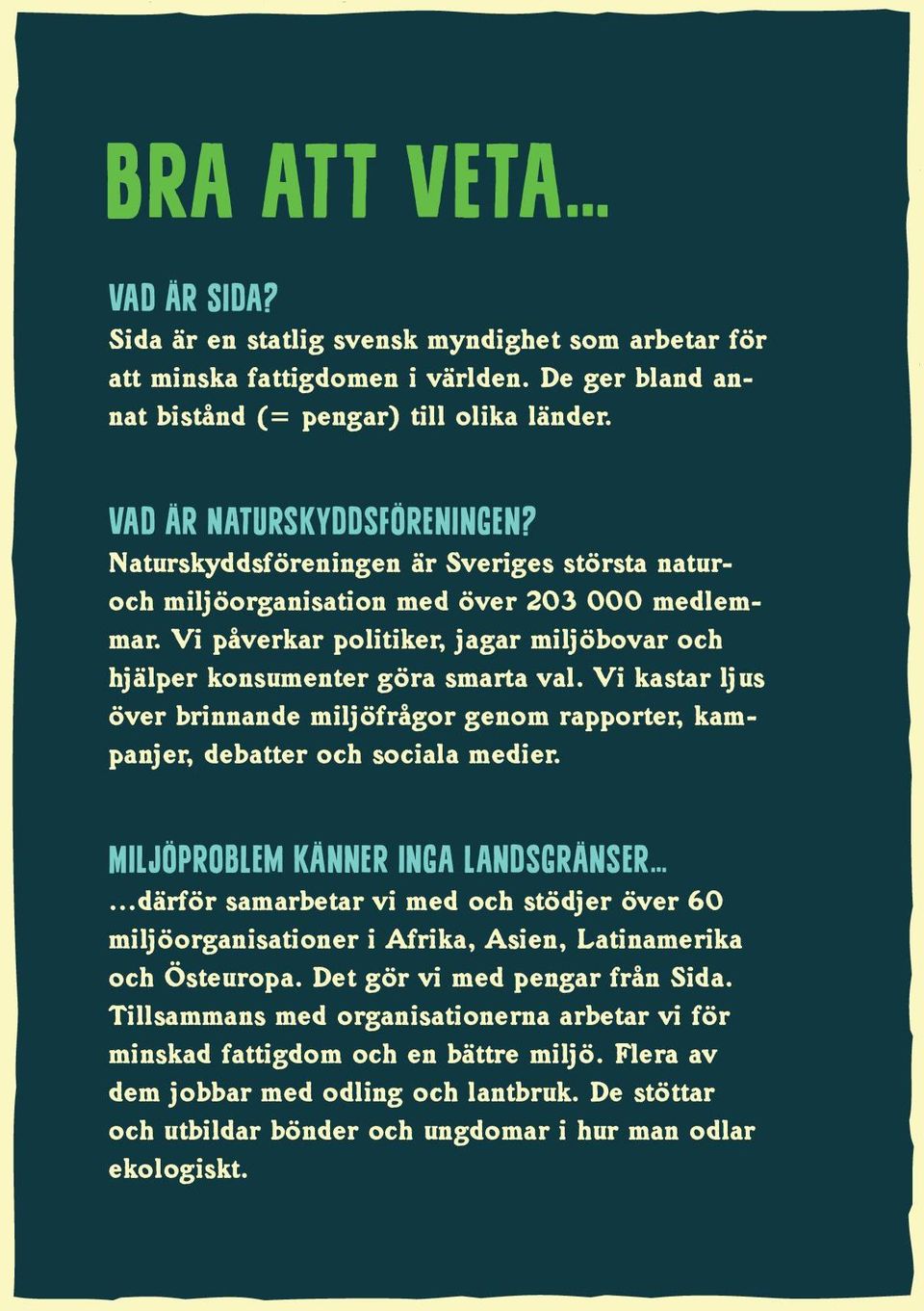 Vi kastar ljus över brinnande miljöfrågor genom rapporter, kampanjer, debatter och sociala medier.