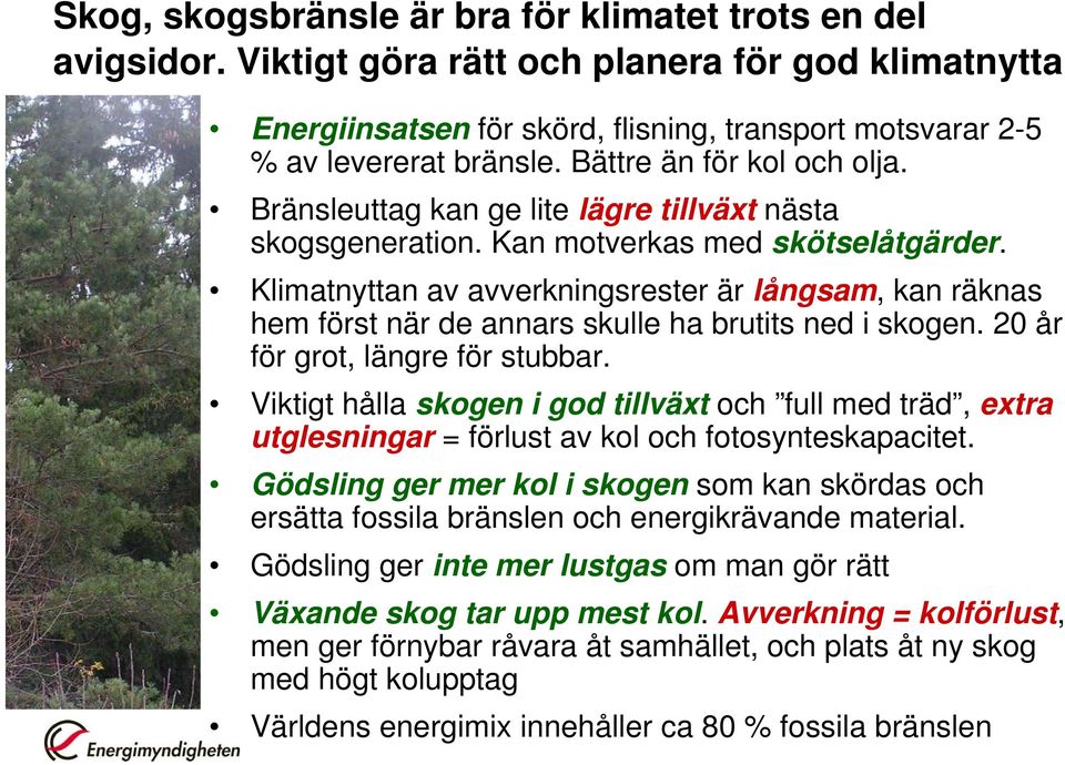 Klimatnyttan av avverkningsrester är långsam, kan räknas hem först när de annars skulle ha brutits ned i skogen. 20 år för grot, längre för stubbar.