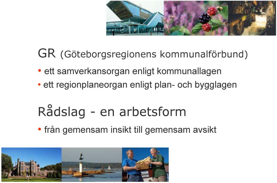 regionplaneorgan enligt plan- och bygglagen