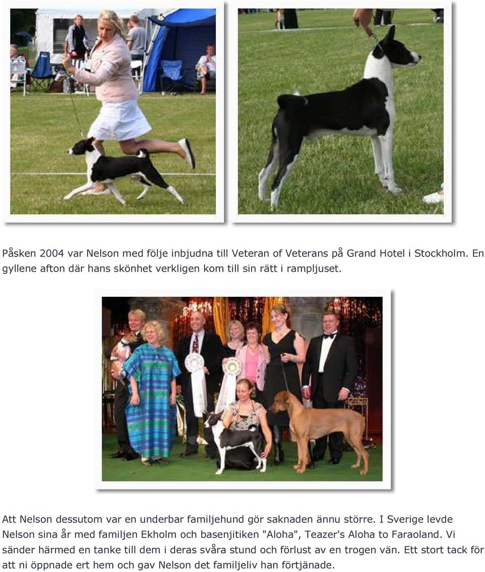 Att Nelson dessutom var en underbar familjehund gör saknaden ännu större.