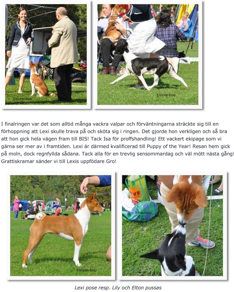 Ett vackert ekipage som vi gärna ser mer av i framtiden. Lexi är därmed kvalificerad till Puppy of the Year!