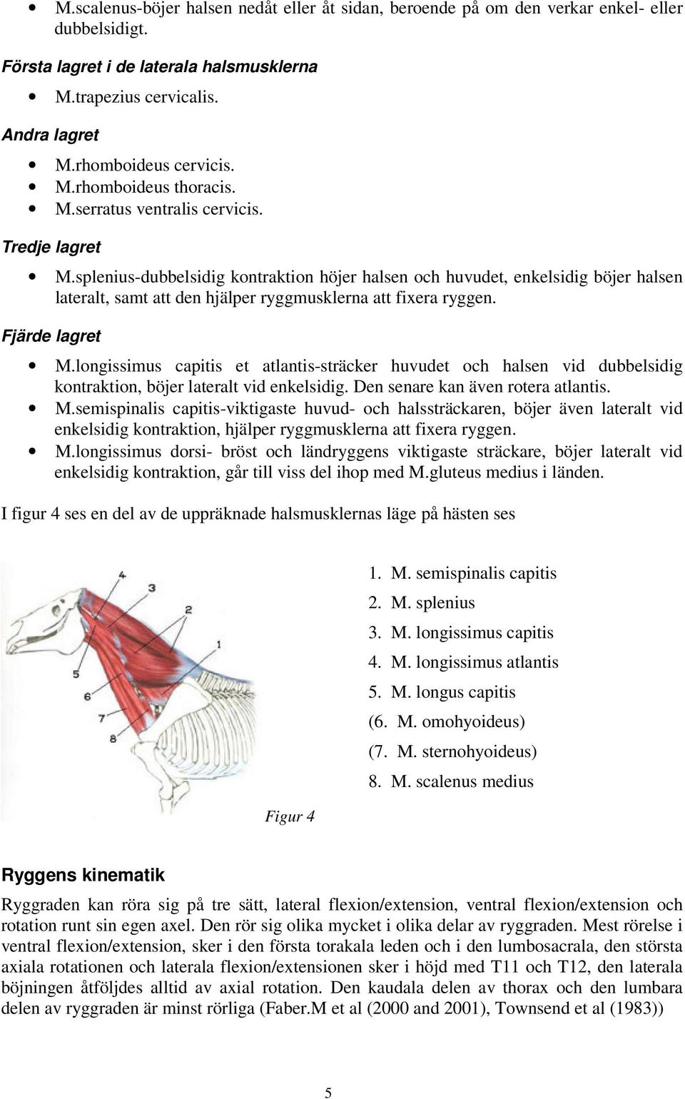 splenius-dubbelsidig kontraktion höjer halsen och huvudet, enkelsidig böjer halsen lateralt, samt att den hjälper ryggmusklerna att fixera ryggen. Fjärde lagret M.