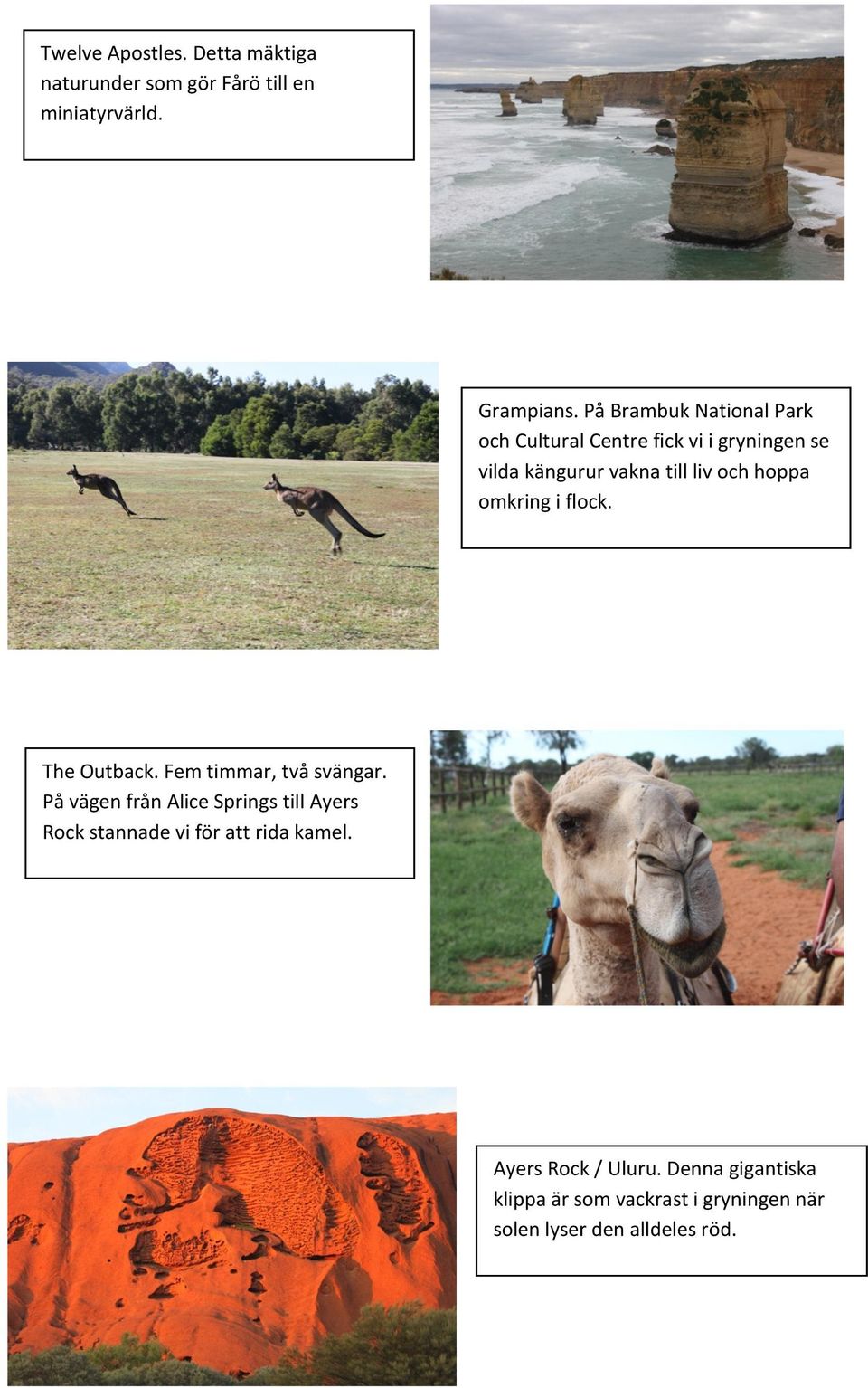 omkring i flock. The Outback. Fem timmar, två svängar.