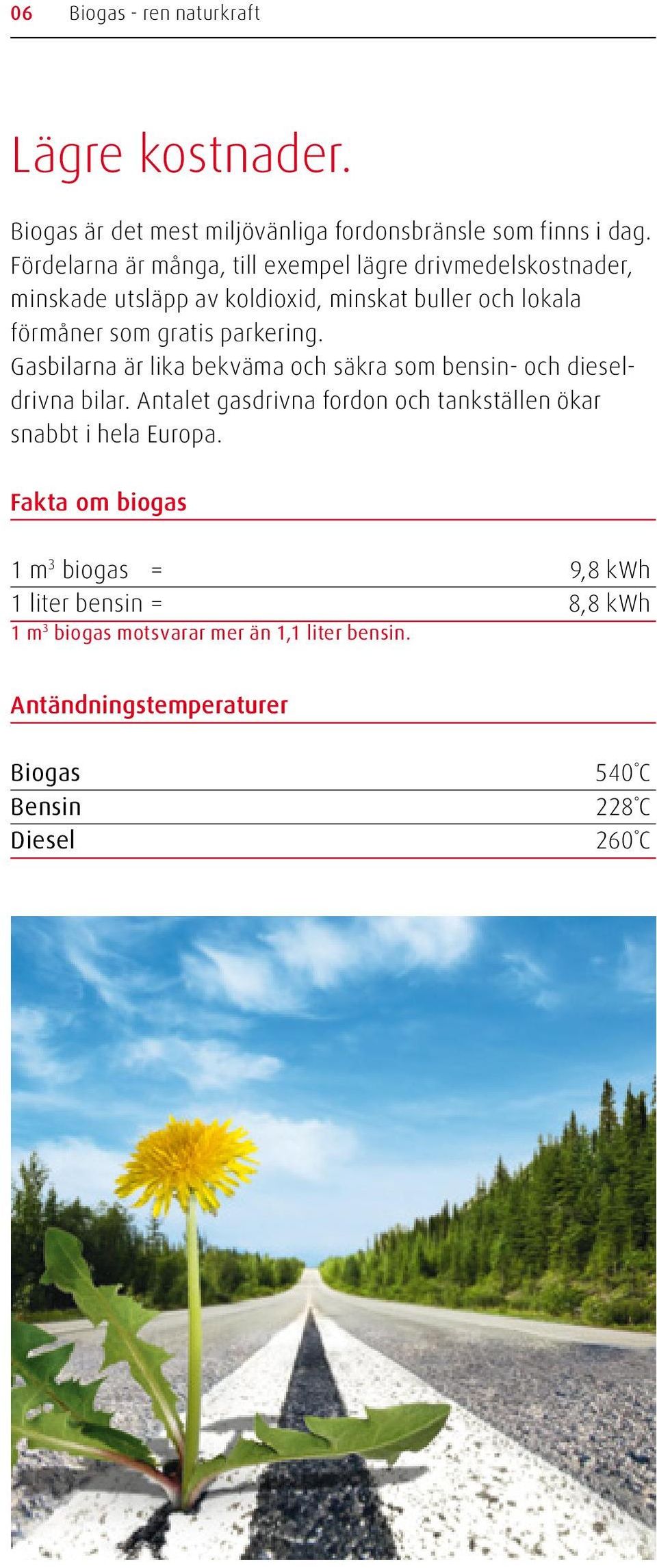 parkering. Gasbilarna är lika bekväma och säkra som bensin- och dieseldrivna bilar.