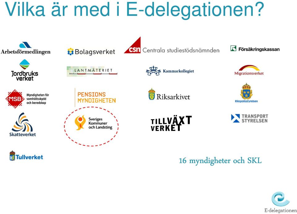 E-delegatonen?